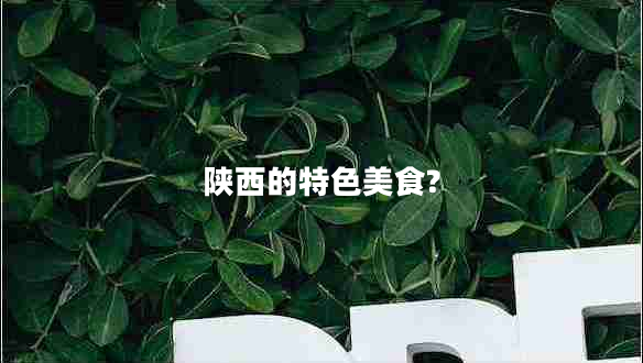 陜西的特色美食?