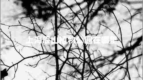 上海辰山植物公園在哪里