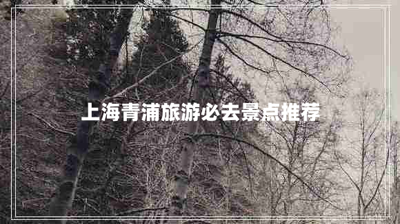上海青浦旅游必去景點推薦