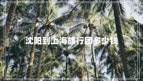 沈陽(yáng)到上海旅行團(tuán)多少錢