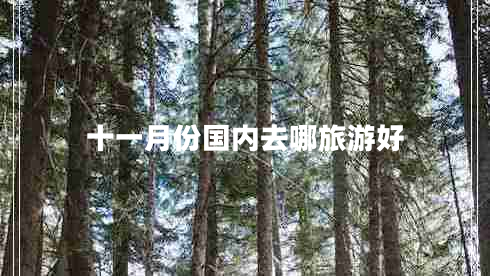 十一月份國(guó)內(nèi)去哪旅游好