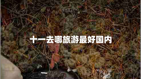 十一去哪旅游最好國內(nèi)