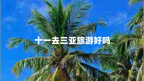 十一去三亞旅游好嗎