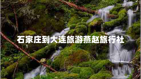 石家莊到大連旅游燕趙旅行社