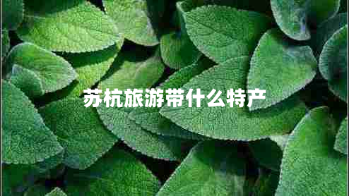 蘇杭旅游帶什么特產(chǎn)