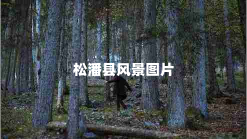 松潘縣風景圖片