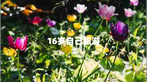 16歲自己旅游