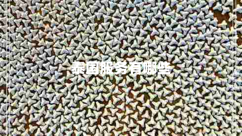 泰國(guó)服務(wù)有哪些