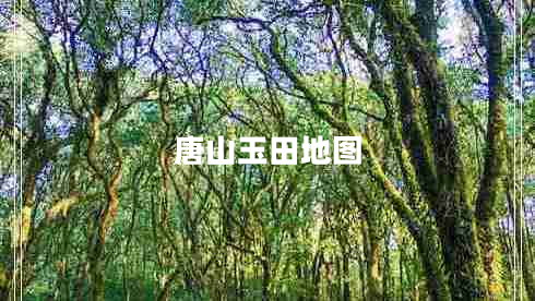 唐山玉田地圖 唐山玉田地圖