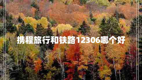 攜程旅行和鐵路12306哪個(gè)好