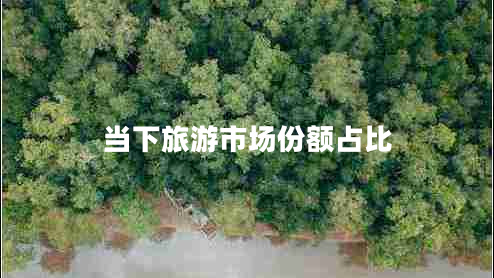當(dāng)下旅游市場份額占比