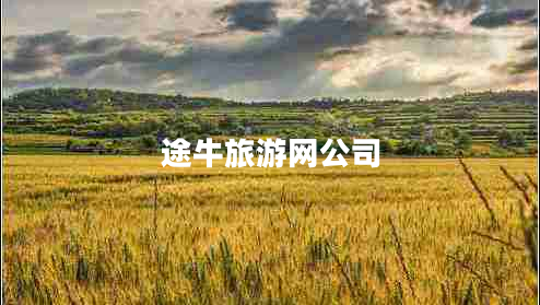 途牛旅游網(wǎng)公司