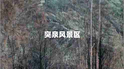 突泉風(fēng)景區(qū)