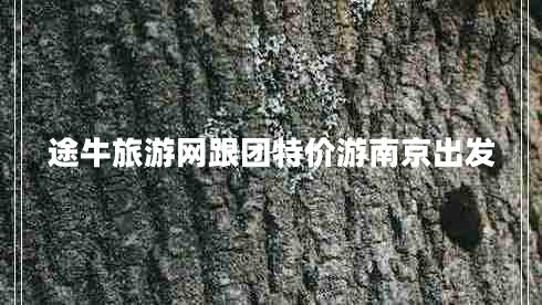 途牛旅游網(wǎng)跟團(tuán)特價(jià)游南京出發(fā) 途牛旅游網(wǎng)跟團(tuán)特價(jià)游南京出發(fā)