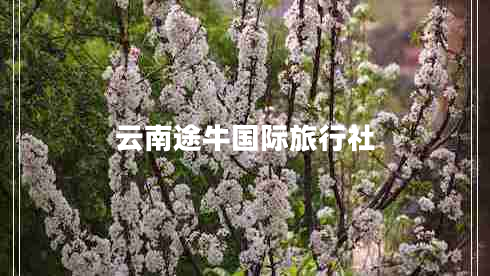 云南途牛國(guó)際旅行社