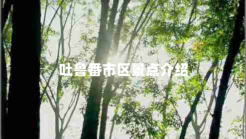吐魯番市區(qū)景點(diǎn)介紹