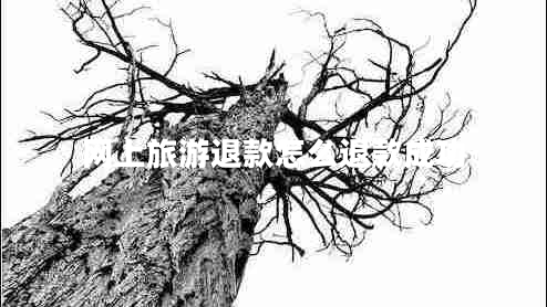 網(wǎng)上旅游退款怎么退款成功