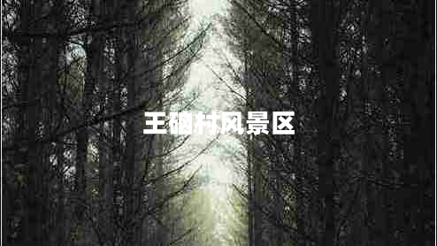 王硇村風(fēng)景區(qū)