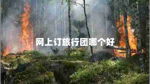 網(wǎng)上訂旅行團(tuán)哪個好 網(wǎng)上訂旅行團(tuán)哪個好