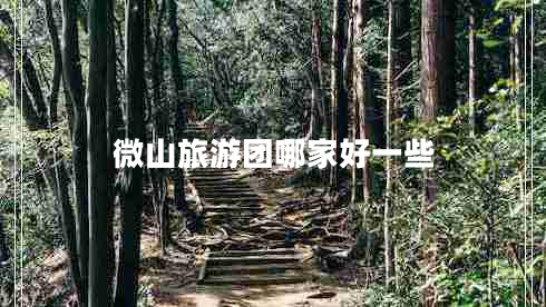 微山旅游團(tuán)哪家好一些