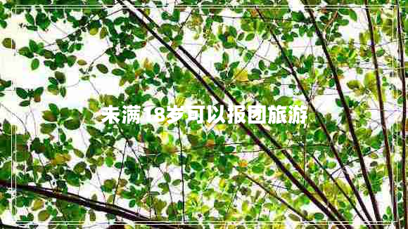 未滿18歲可以報(bào)團(tuán)旅游