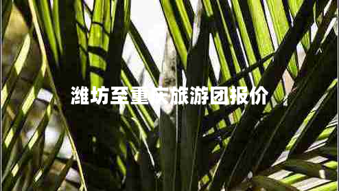 濰坊至重慶旅游團(tuán)報價