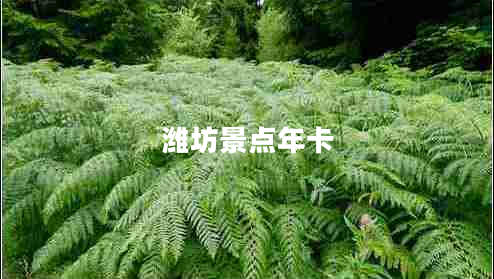 濰坊景點(diǎn)年卡