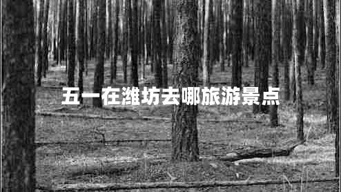 五一在濰坊去哪旅游景點