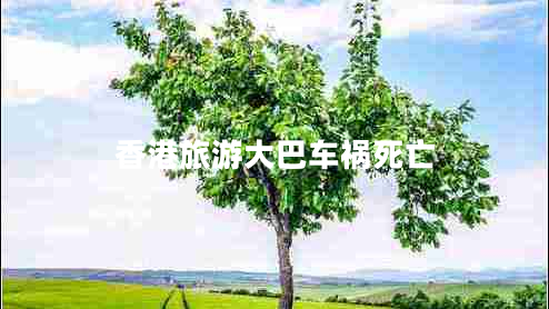 香港旅游大巴車禍死亡