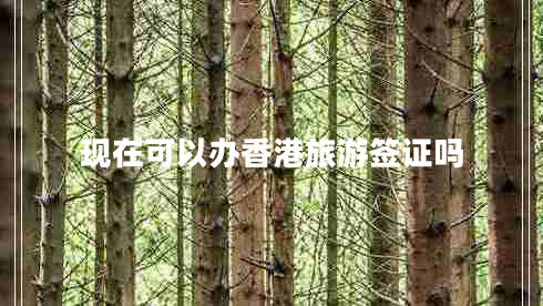 現(xiàn)在可以辦香港旅游簽證嗎