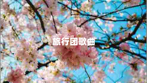 旅行團(tuán)歌曲 旅行團(tuán)歌曲