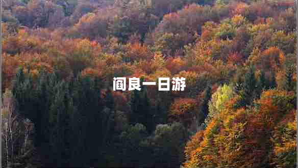 閻良一日游 閻良一日游