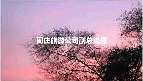 周莊旅游公司副總經理