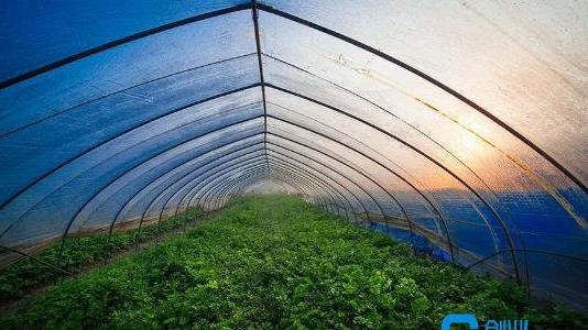 建一個二畝地的大棚多少錢 建一個二畝地的大棚多少錢