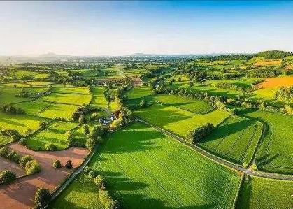 三農(nóng)指的是哪三農(nóng)