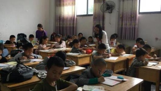 農(nóng)村一個人單干暴利項目