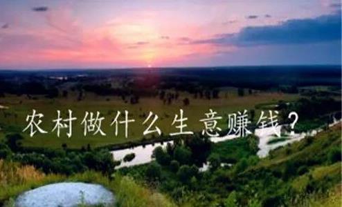 農(nóng)村適合做什么生意