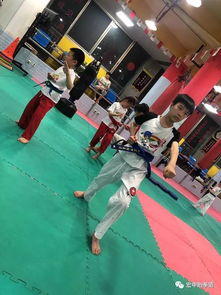 跆拳道科學(xué)訓(xùn)練方法有哪些