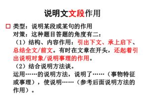 說明文都用了哪些說明方法有哪些特點(diǎn)是什么