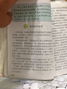 六級(jí)上冊(cè)第四單元說(shuō)明方法有哪些