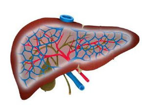 肝內血管瘤用哪些藥物可以治療方法
