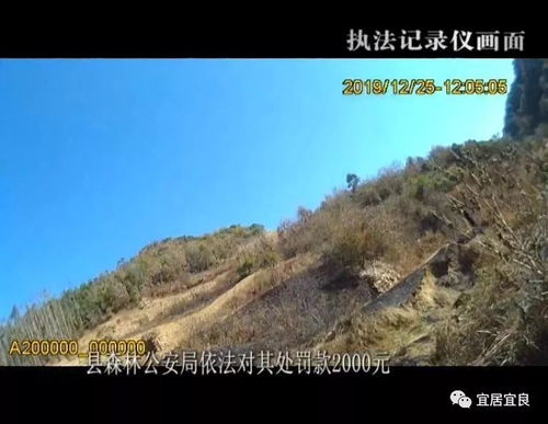 我們有哪些方法不讓森林起火