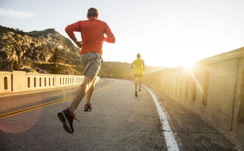 生活中如何科學(xué)減肥方法有哪些