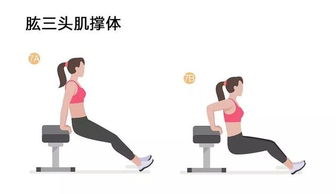 減肥運動的訓(xùn)練方法有哪些方法有哪些方法