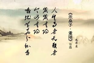 寫出兩句關(guān)于節(jié)日的詩句