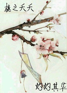 詩經(jīng)中關(guān)于愛情的詩句小學(xué)生