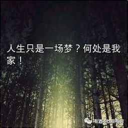 關(guān)于人生輪回的詩句