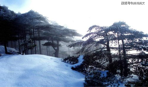 描寫雪景的古詩句有什么