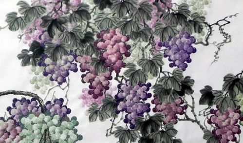 關(guān)于葡萄的古詩(shī)詞詩(shī)句