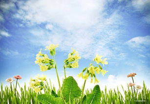 一二級(jí)關(guān)于春天的詩句